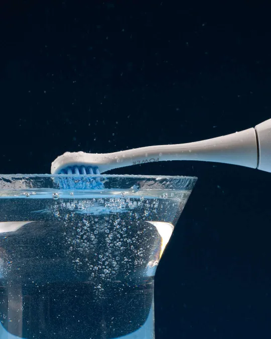 Power Hydrosonic Pro Brush Head