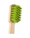 The first Curaprox wooden toothbrush