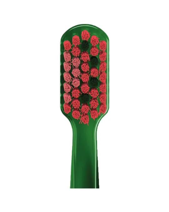 Toothbrush CS 5460 Watermelon | Curaprox