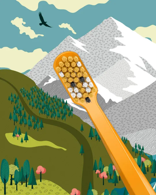 Toothbrush CS 5460 Fox & Bunny | Curaprox